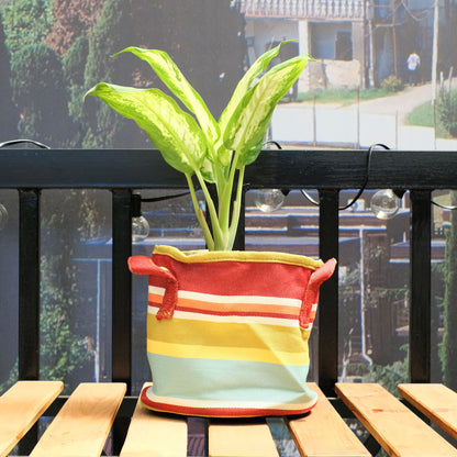 Multi-Color Fabric Planter with Liner