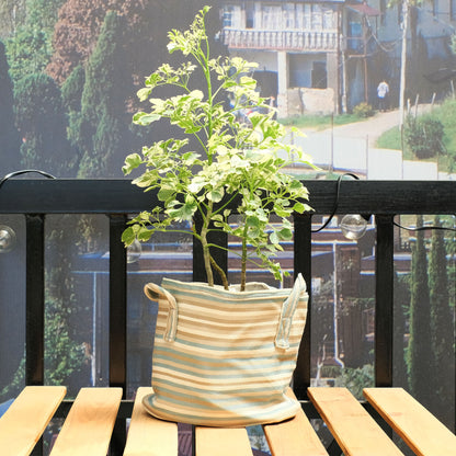 Multi-Color Fabric Planter with Liner