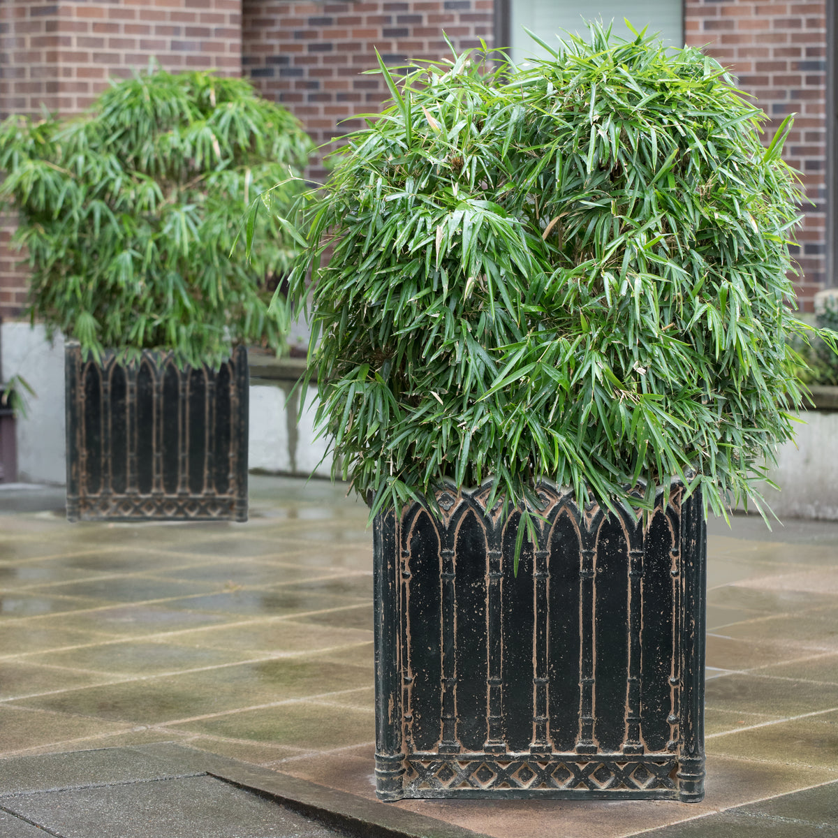 Elevate Your Space with the 16 in. Square Charcoal Cast Stone Planter