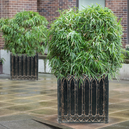 Elevate Your Space with the 16 in. Square Charcoal Cast Stone Planter