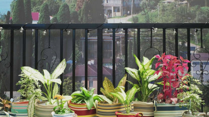 Multi-Color Fabric Planter with Liner